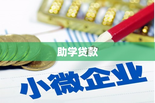 师宗助学贷款