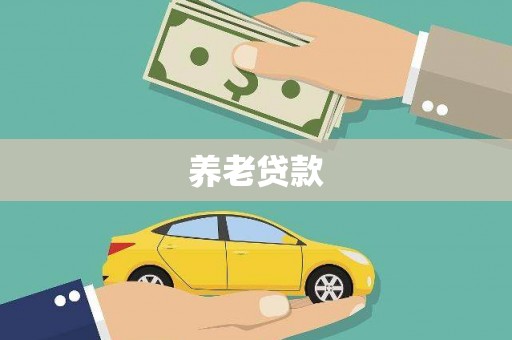 宣城养老贷款